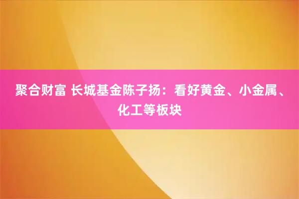 聚合财富 长城基金陈子扬：看好黄金、小金属、化工等板块